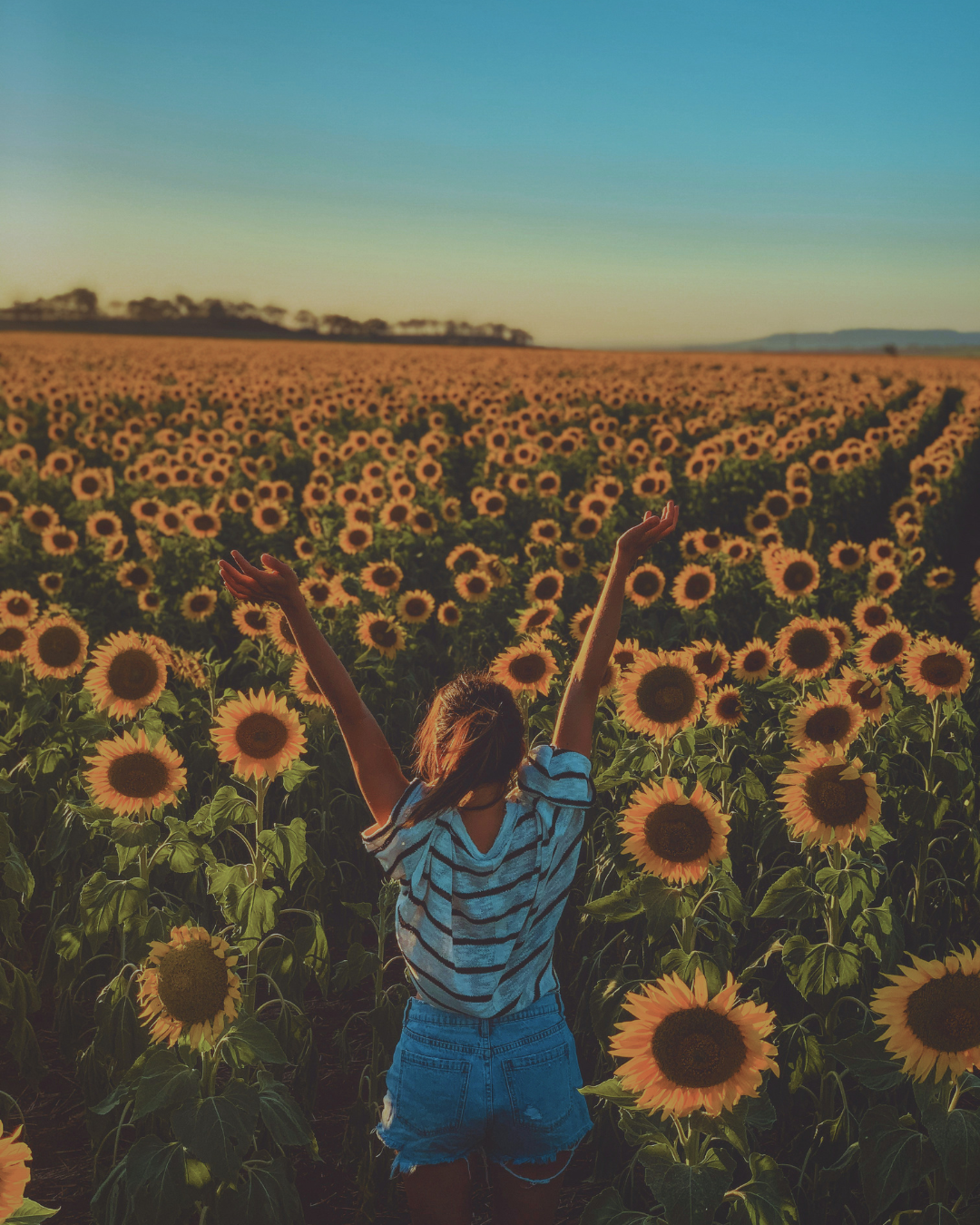 The Problem of Fearing Aging